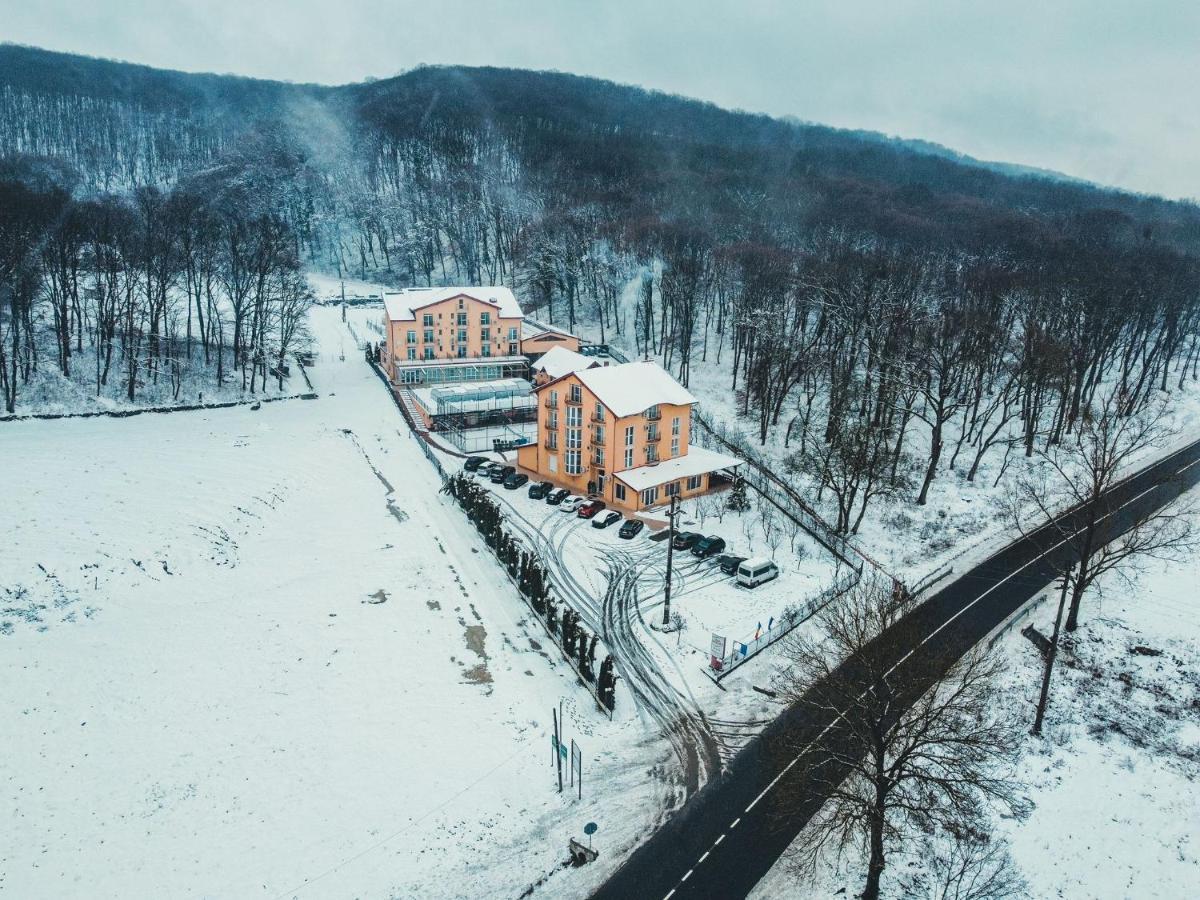 Vila Metropol Băile Felix Esterno foto